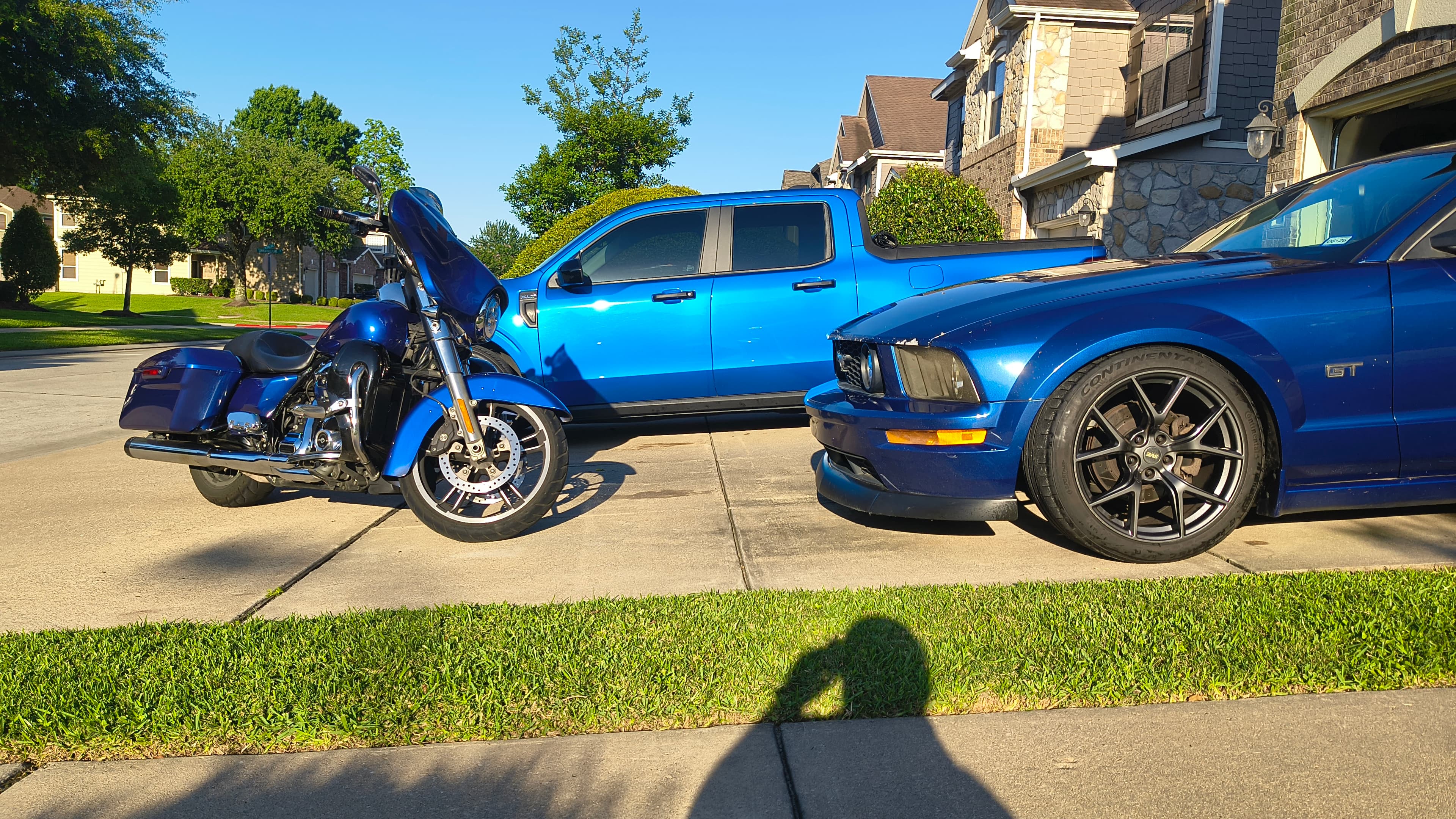 Washed the whips